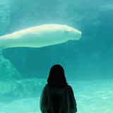 ゆか⟡女性起業家