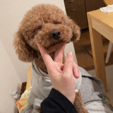 ねむたいもも