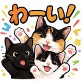 なんでも相談教室