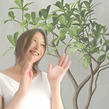 MIO・DESIGN