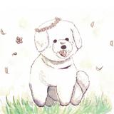 さくらかぜ りん