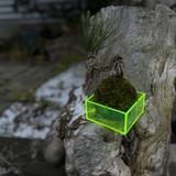 moss_japan