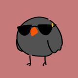 crow_96960