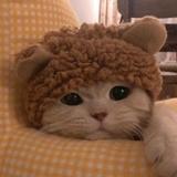 じゃがいもじに