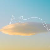 赤坂｜AI開発
