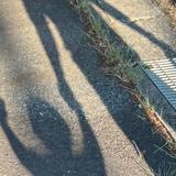シバ ～人生について日々考えてます～