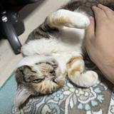 かじゅぅ564