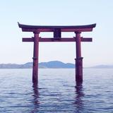 ヒトシン