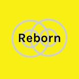 REBORN⭐️導く占い師