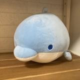 水樹いるか