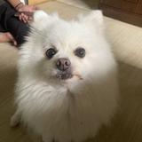 編集者スガワラ