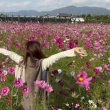 みゆち！