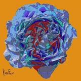 kafu_lxk