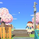 みたらし＊さん
