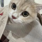 ルーシーさん