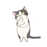 きんみらい