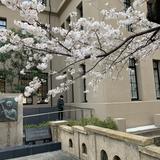 Kishida_022
