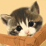 空飛にら