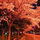 辻リュウタ