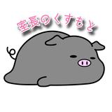 室長のくすもと