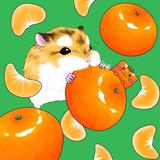 秋菜／動物イラストレーター