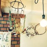 Leho_design