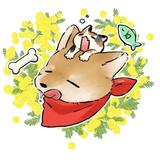 湯切りいちは