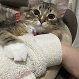 あ ぐ り