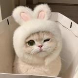 あなたのための肉球