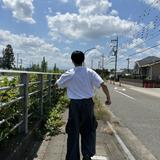 ますみんみん、