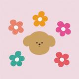 pocopoco design