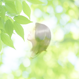 まいはらデザイン