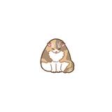 hui_ふい