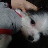 erissan__