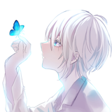 六花❄