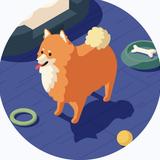 mi_mimi
