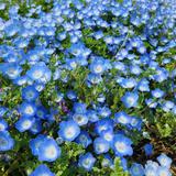 なんでもお悩みオラクルカードで占います！