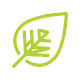 cotonoha design