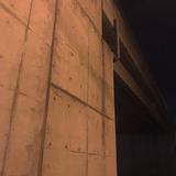 橘　楓