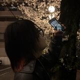 PoniPoni811