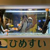 まーちん711