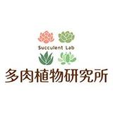 多肉植物研究所