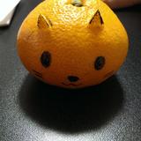 匠 考太郎