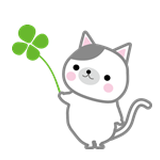 猫さん78