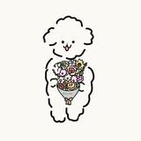 ぴーしゃら