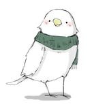 カモメノ チヨ＠てのりデザイン