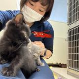 さぽー