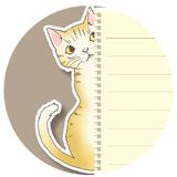 まっこっこ庵