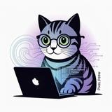 creator cat