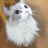 SaORi_M226N